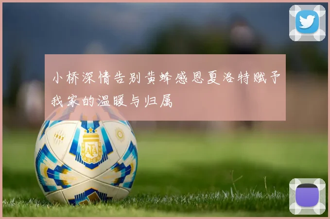小桥深情告别黄蜂感恩夏洛特赋予我家的温暖与归属